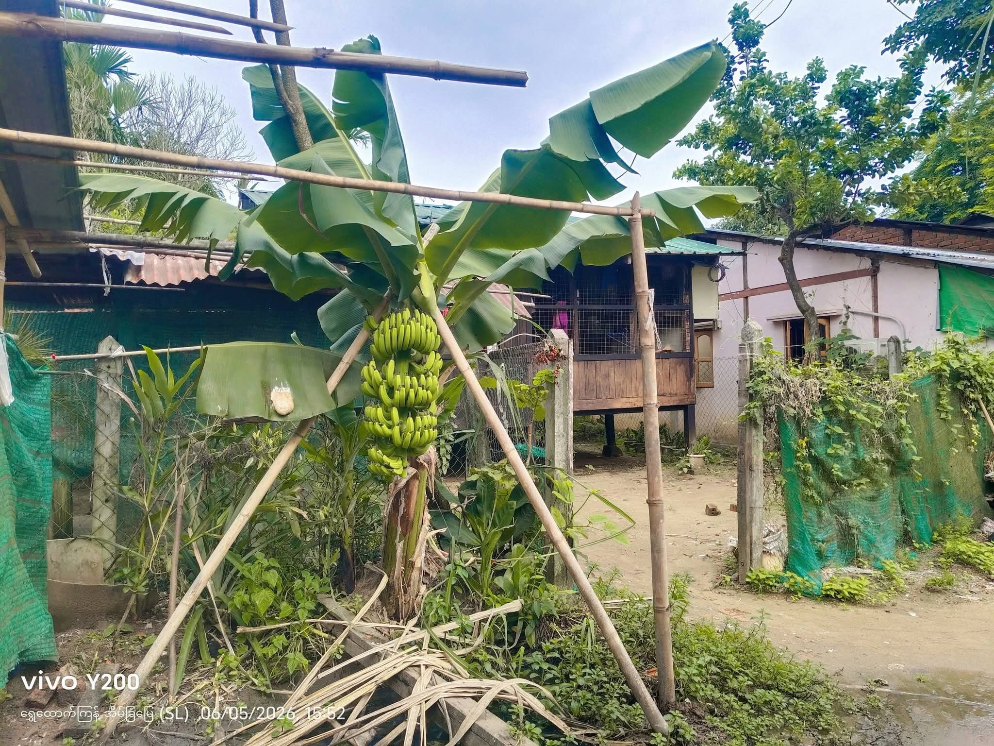 မှော်ဘီမြို့ပေါ် နဂိုမူလရပ်ကွက်ဖြစ်တဲ့ မြို့မ (၁) ရပ်ကွက် မှာ တည်ရှိတဲ့ အိမ်အပါခြံလေးကို ခြံဈေးသာသာနဲ့ရောင်းမည်။ 09789528544 #AC046 - 12