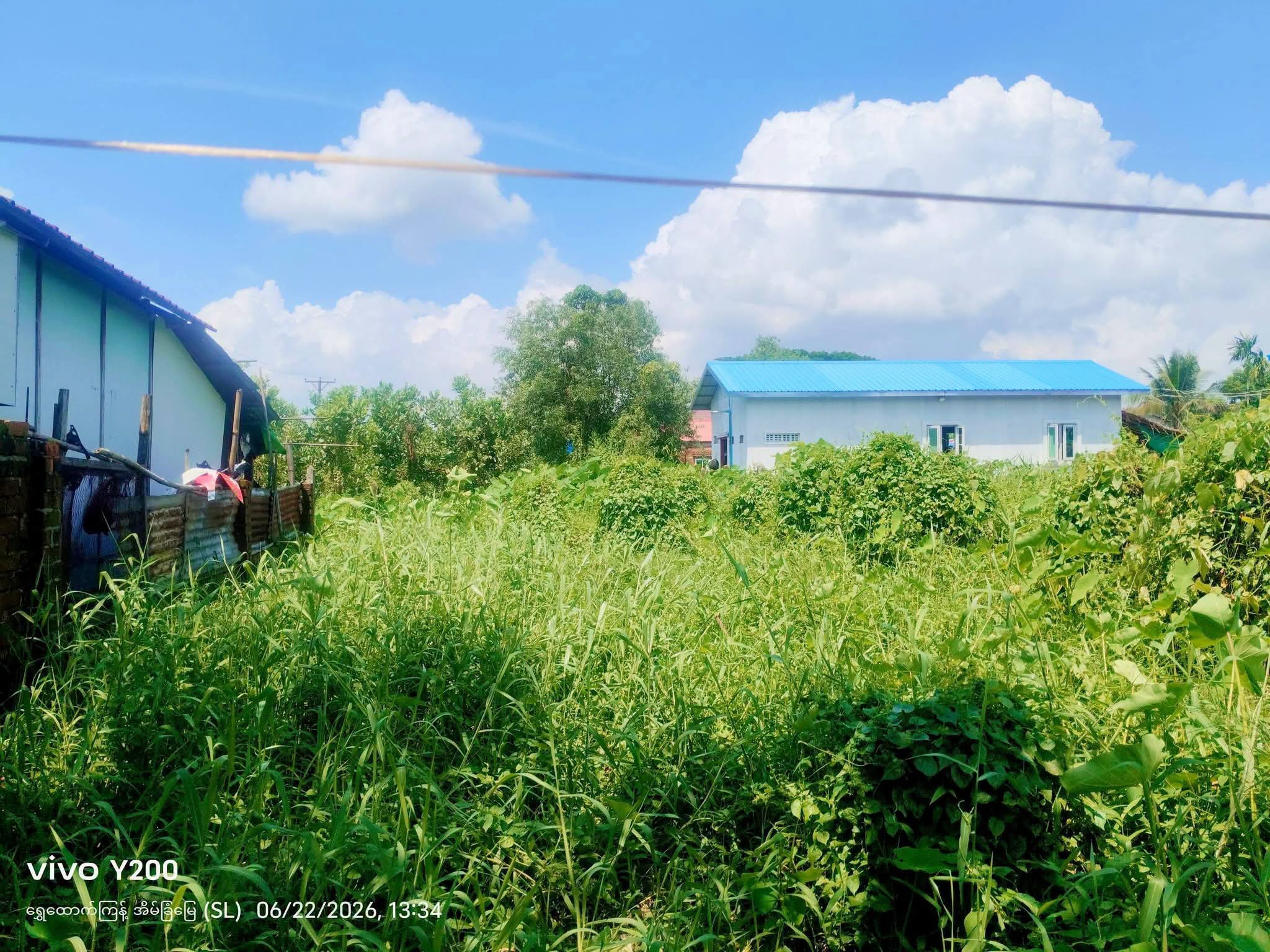 မှော်ဘီမြို့နယ်အပိုင် သန္ဓေပင်အုပ်စု ကြက်ဖြူကန်ရပ်ကွက်ရှိပေ22*44 ခြံကွက်ရောင်းမည်။ 09789528544 #AC092 - 3