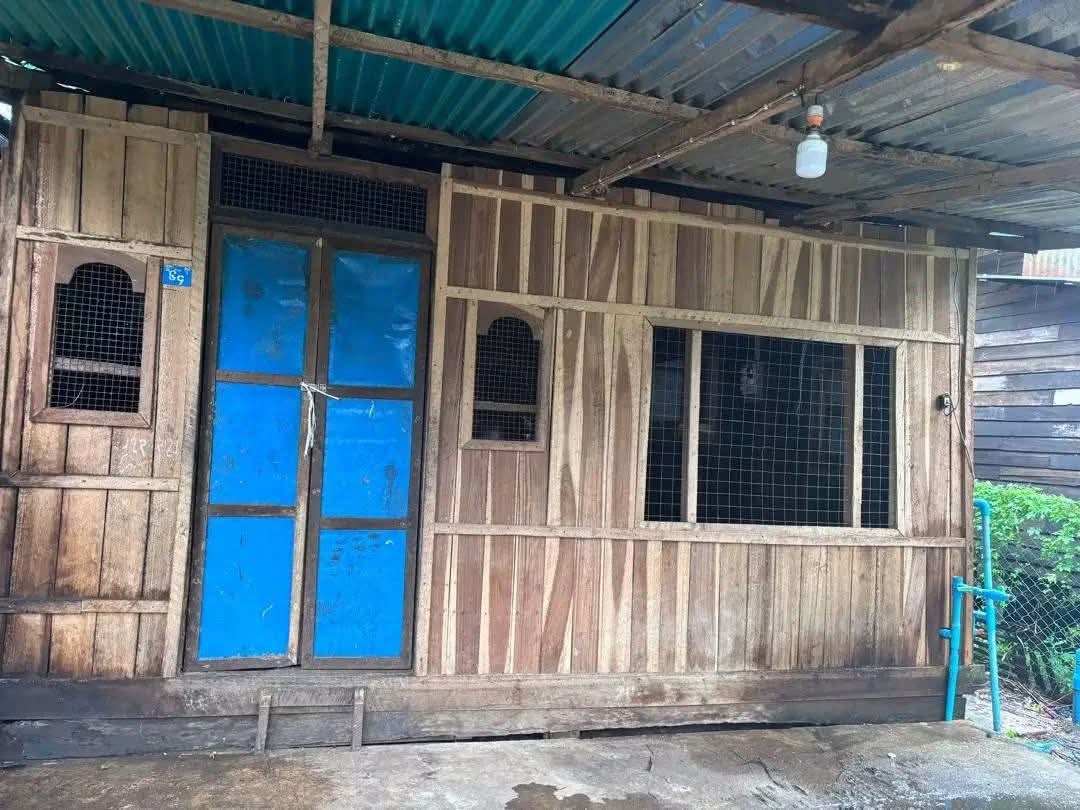 ပုသိမ်မြို့ ဥမ္မာဒန္တီရပ်ကွက် ရောင်းမည်။ပေ20*60 ။09789528544 #AC027 - 2